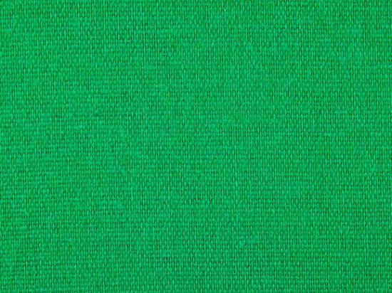 Coton Gratté Vert Incruste 140g 260cm M1