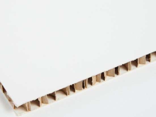 Panneau Carton Alvéolaire Blanc 2,4m x 1,6m x 10mm