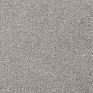Moquette velours Oinone 4m gris clair Cfl-s1