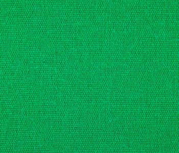 Coton Gratté Vert Incruste 140g 260cm M1